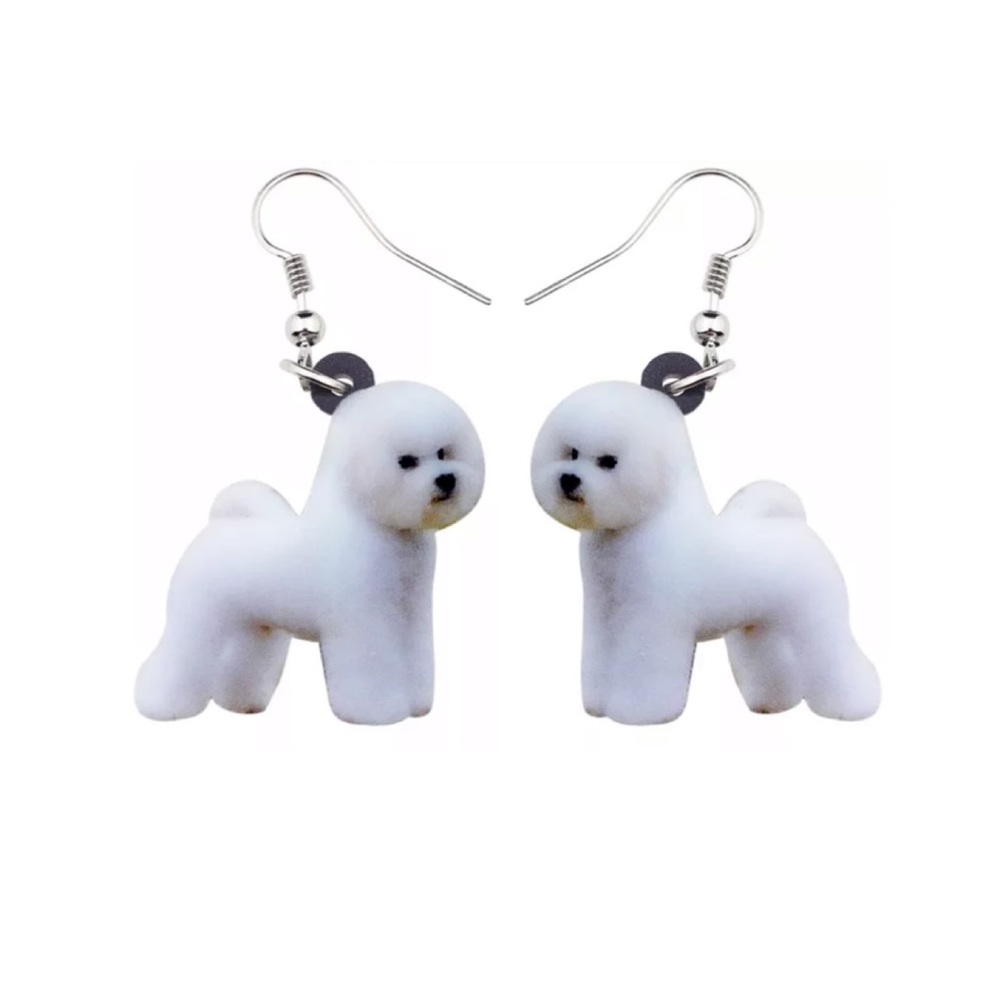 FREE SHIPPING | Double-Sided Acrylic Dangle Earrings NWT